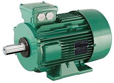 Electric motor