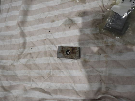 Caterpillar Strip #1