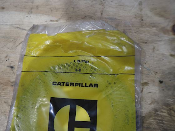 Caterpillar  Plate #1