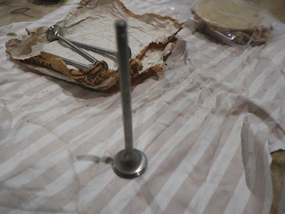 Caterpillar Valve Exhaust #1