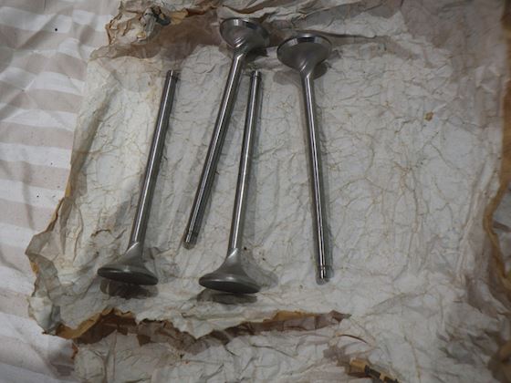 Caterpillar Valve Exhaust #2