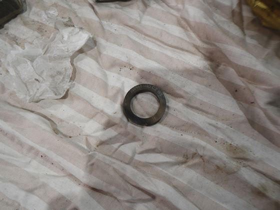 Caterpillar Metal Ring #1