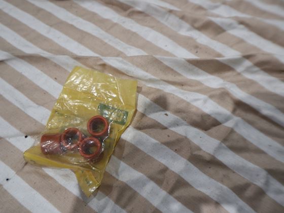 Caterpillar Seal As Water #1