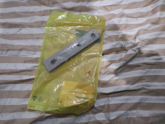 Caterpillar Plate #1