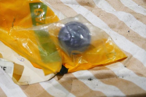 Caterpillar Bonnet #2