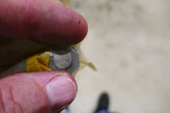 Caterpillar Lifter 8N-1317 #2