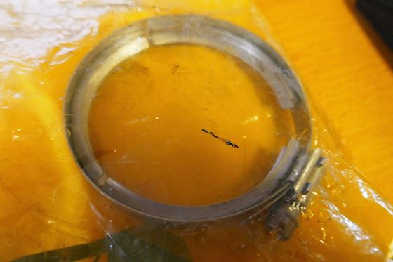 Caterpillar Clamp  2N-8109 #1