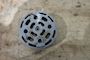 NEAC Compressor Suction Valve  5'' ø93   3rd. #1