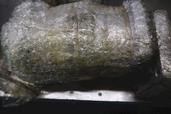 Expansion Joint F10V #1