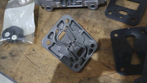 Sandpiper Air End Kit  S1FM #3