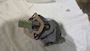 Volvo Penta Fuel Oil Feed Pump #1