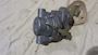 Volvo Penta Fuel Oil Feed Pump #2
