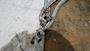 Alfa Laval Hose P626 #1