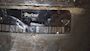 Parker Single Gear Pump 25550C 2E-4 #14