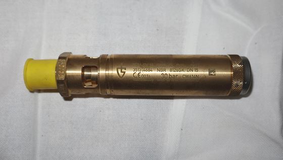 Goetze KG Safety Valve CW614N #1