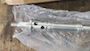 Alfa Laval Inlet Pipe 51960281 #1