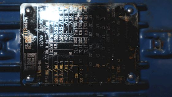 Tandhjuls Pumpe F1 #4