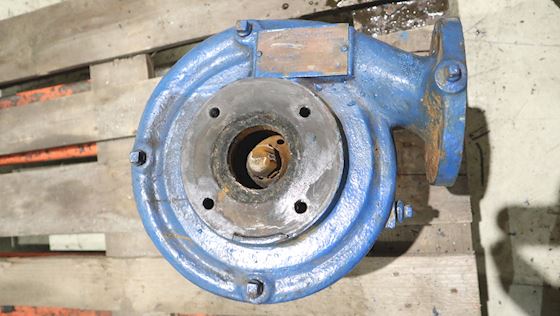 Pegson High Temperature Pump 2½C11T/81TSC-C-175 #3