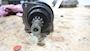 Rareelectrical New starter Motor S115A24-11M #5