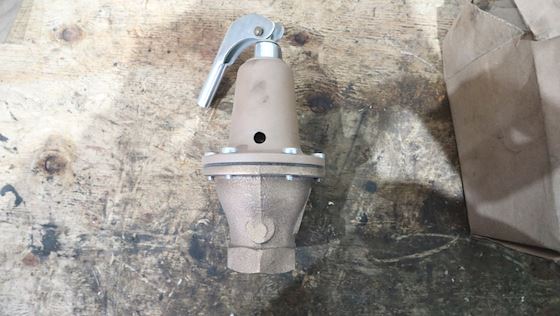 Watts Safety Valve 174ABZ3 #3