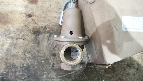 Watts Safety Valve 174ABZ3 #4