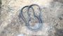 Scania Miscellaneous Seals Gasket and O-Rings #6