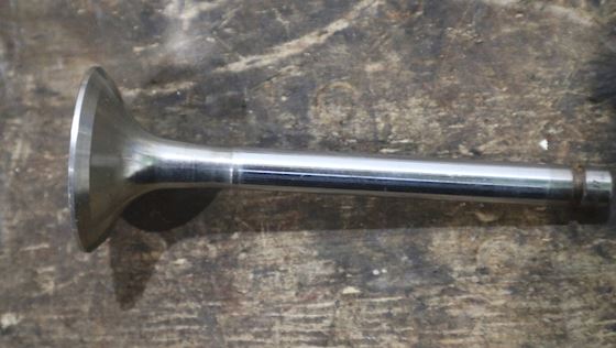 Cummins Exhaust Valve 3921444 #1