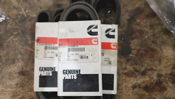 Cummins Belt v Ribbed 3288812 #3