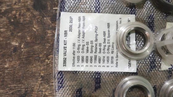 Cat pumps Valve Kit 33952 #1