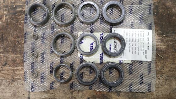 Cat pumps Seal Kit 30952 #1