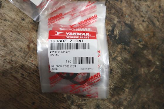 Yanmar Valve Spring 190110-71041 #2