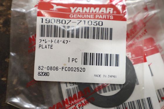 Yanmar Valve Plate 190807-71030 #2