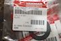 Yanmar Valve Plate 190807-71030 #2