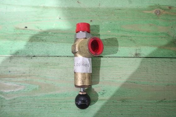 Relief Safety Valve 731.12.00.001 #2