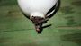 Racor 900 MA Diesel Fuel Filter/Water Separator #4