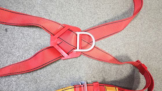 Protecta International Harness #8