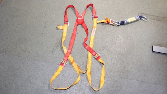 Protecta International Harness #1