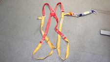 Protecta International Harness - 1