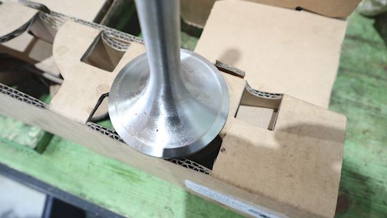 Ruston Exhaust Valve 45°  80-416-01154-301 #4