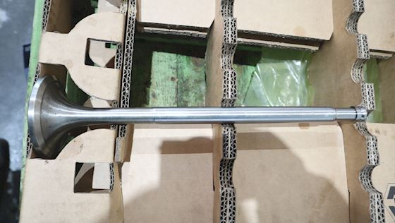 Ruston Exhaust Valve 45°  80-416-01154-301 #2