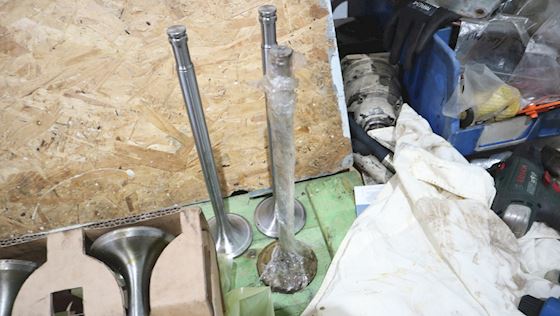 Ruston Exhaust Valve 45°  80-416-01154-301 #5