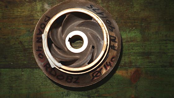 Azcue Impeller AN40/125   2200 #5