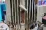 Barkemeyer Schiffstechnik BST 40/45/170/1/2E #13