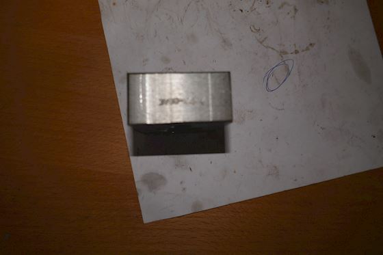 Wichmann Dog Piecs 240202 #4