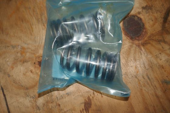 Wärtsilä- Wartsila Valve Spring DZ02154473 #1