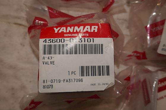 Yanmar Valve 43600-013101 #2