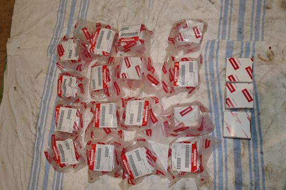 Yanmar Valve 43600-013101 #4