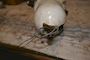 Racor Parker 1000MAM Deisel Fuel Filter/Water Separator #4