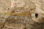 Facet International Level Probe P/CPS-5/10B MK3 #1