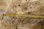 Facet International Level Probe P/CPS-5/10B MK3 #8
